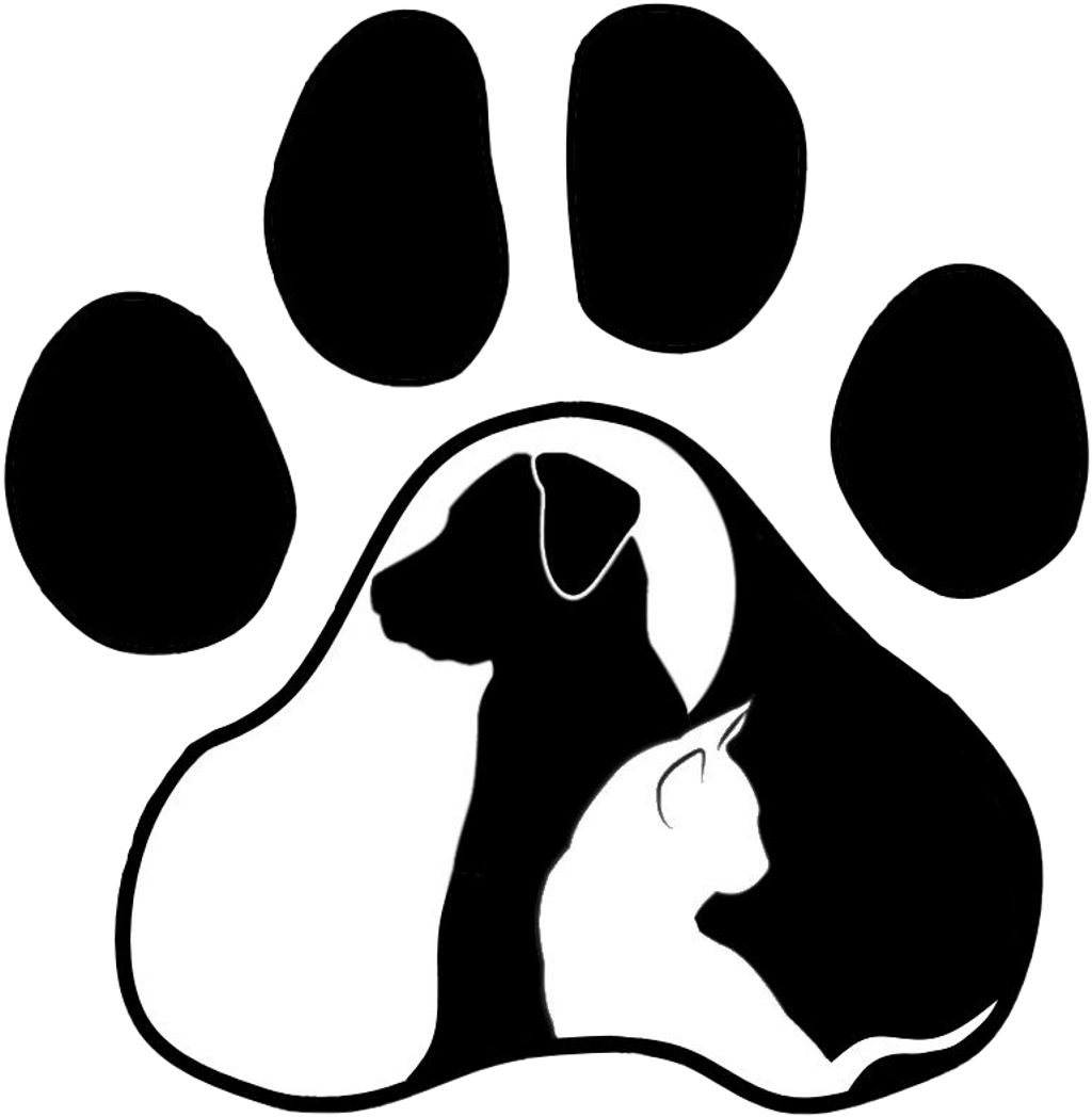icon button