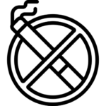 icon button